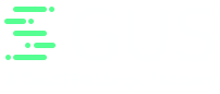 GUS Test LLC